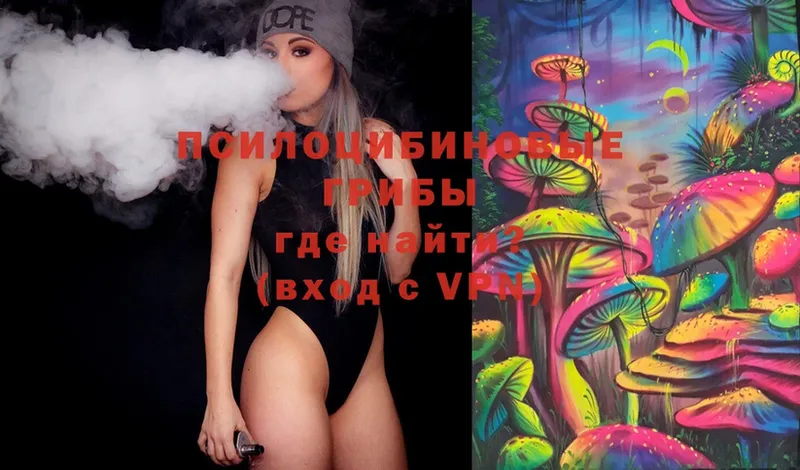 Галлюциногенные грибы Psilocybe  mega ссылка  Жуковка 